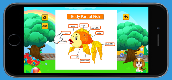 English Vocabulary Beginner