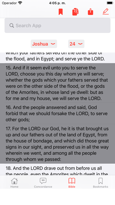 Bible Strongs Concordance Screenshot