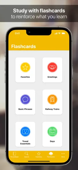 Game screenshot SpeakEasy Spanish Phrasebook hack