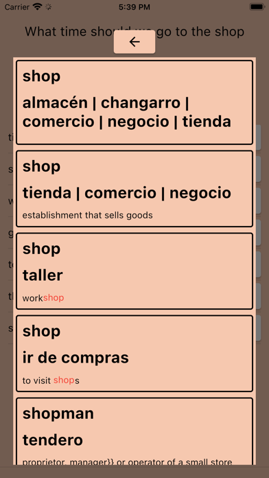 AI Spanish Dictionary Screenshot