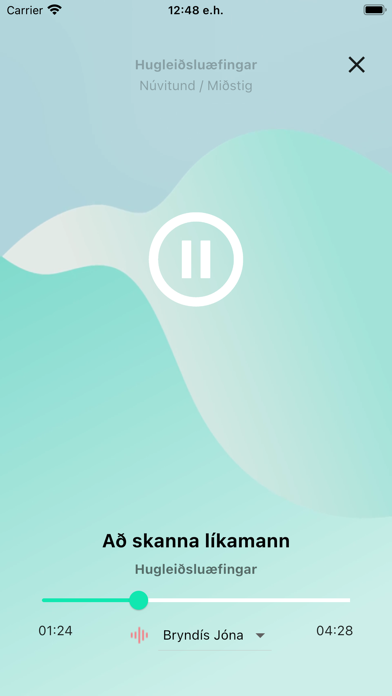 Sterkari út í lífið Screenshot