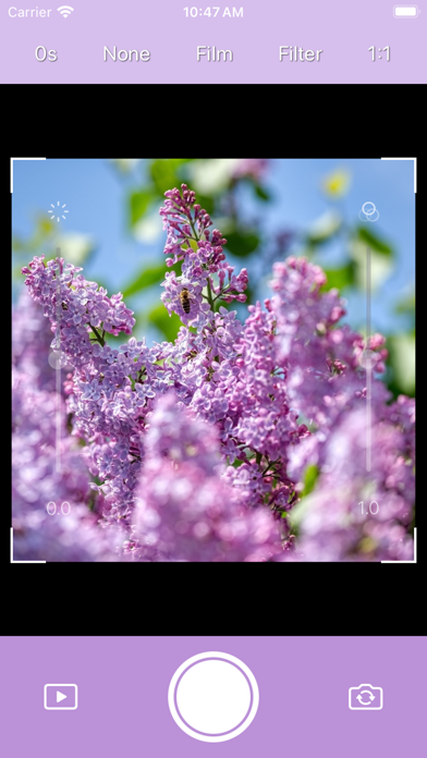 Screenshot #1 pour DICA - Lilac