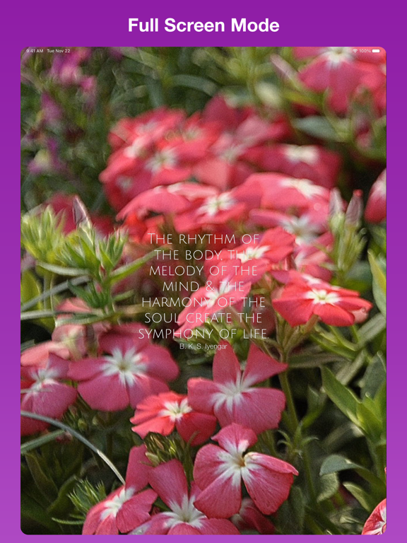 Daily Yoga Quotes  - YogaQuote iPad app afbeelding 7