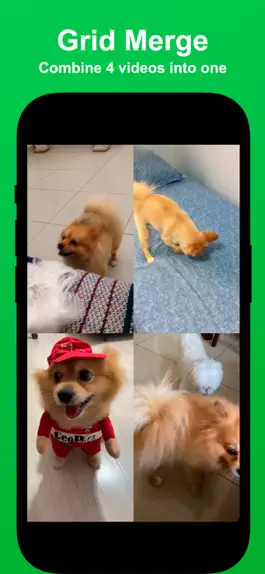 Game screenshot Video Merger: Join videos apk