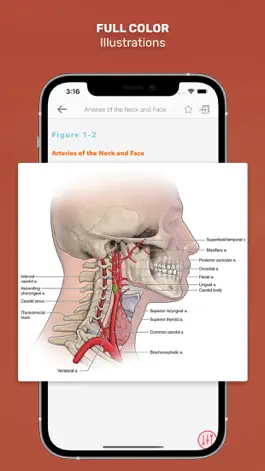 Game screenshot CURRENT Dx Tx Otolaryngology hack