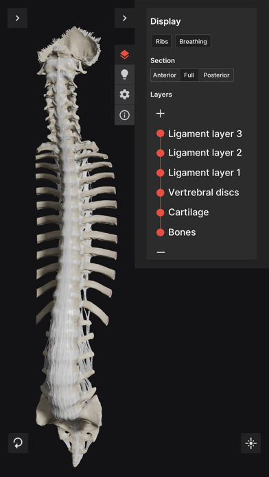 Biomechanics of the Spine Liteのおすすめ画像1