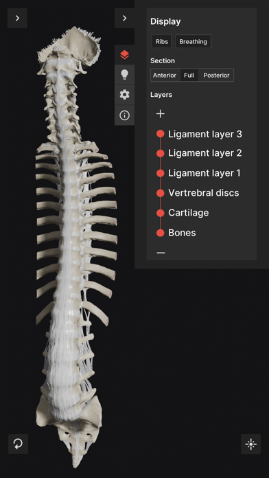 Biomechanics of the Spine Lite Screenshot