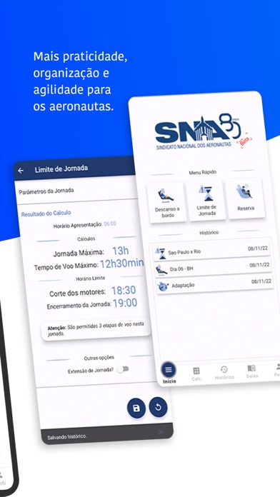 SNA Regulamentações Screenshot