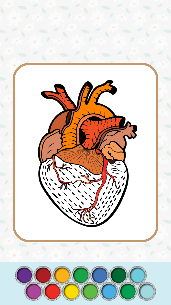 Anatomy Coloring Book.