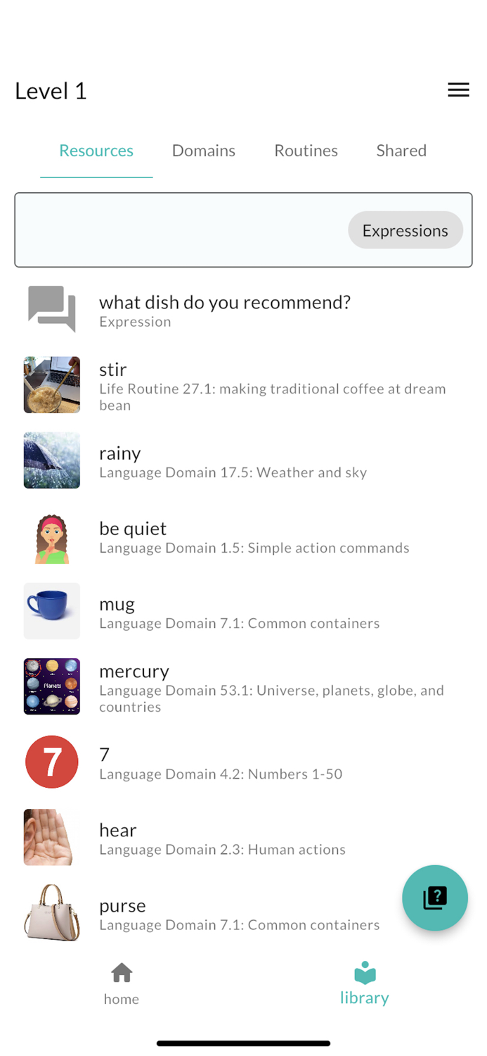 Immerse - Culture and Language