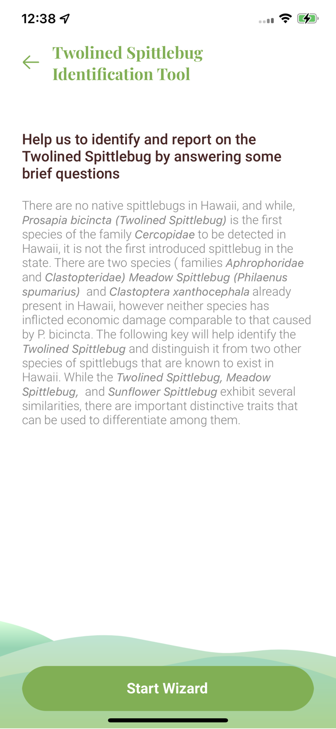 Twolined Spittlebug Tool