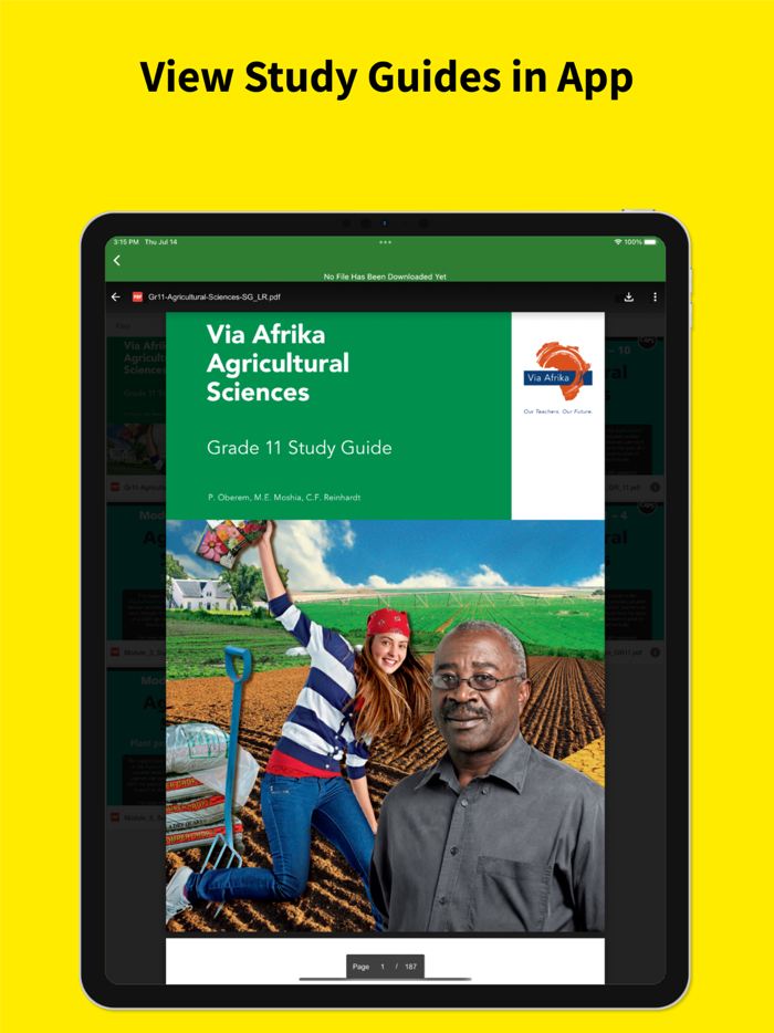 Grade 11 Exam Papers