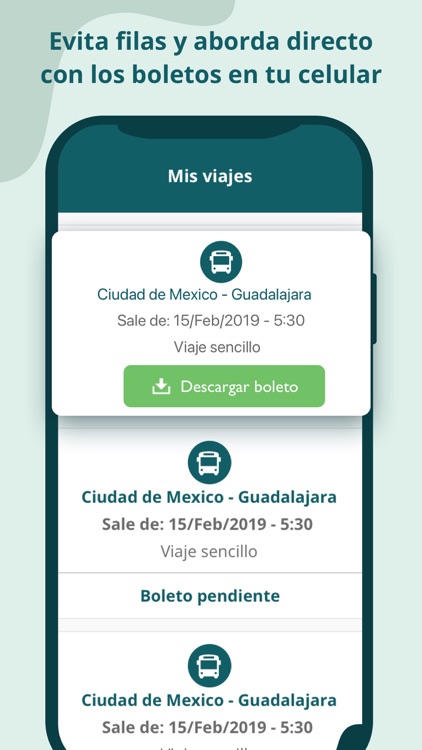 Autovías: Viajes en Autobus MX screenshot-4