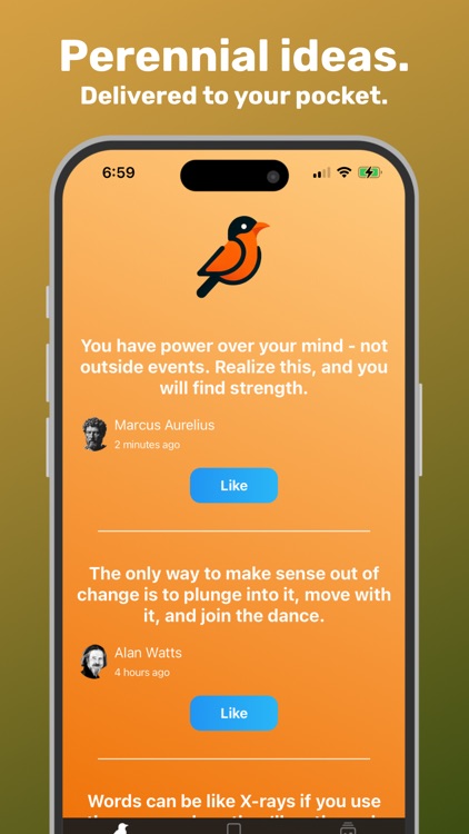mynah: Pocketful of Insights