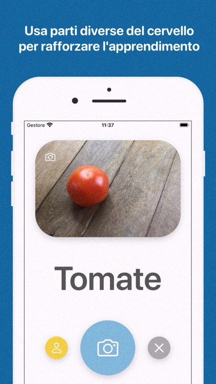 Impara il francese da zero screenshot-4