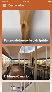 el museo canario iphone screenshot 1