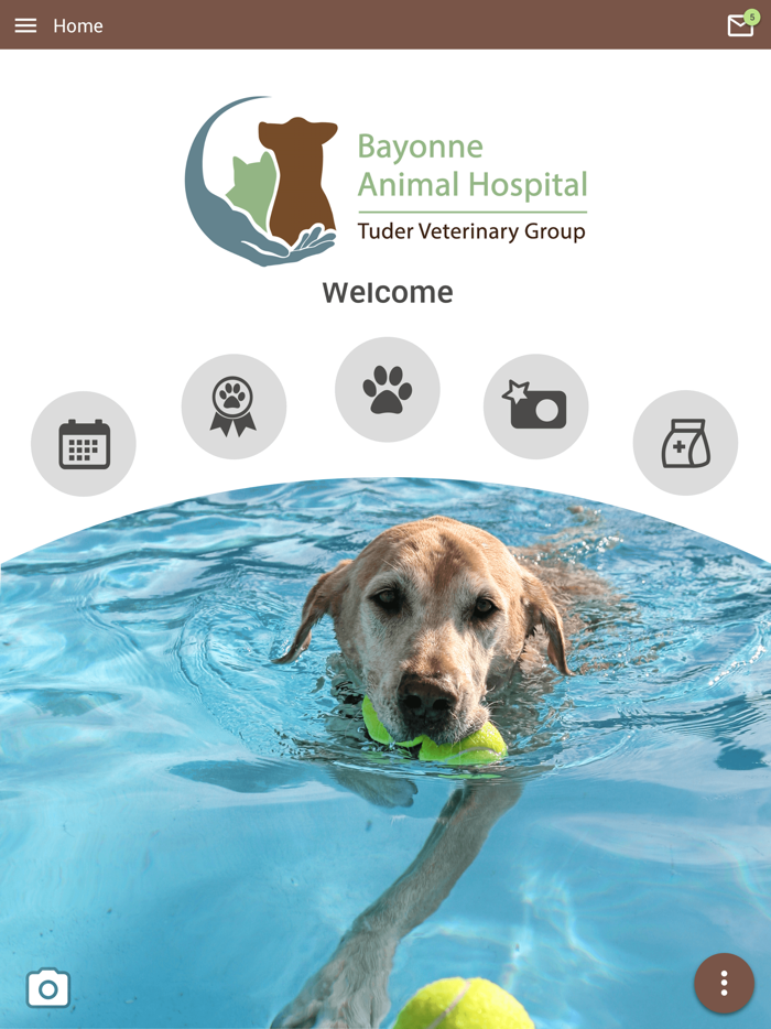 Bayonne Animal Hospital