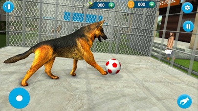 Animal Care Dog Shelter 3D Screenshot