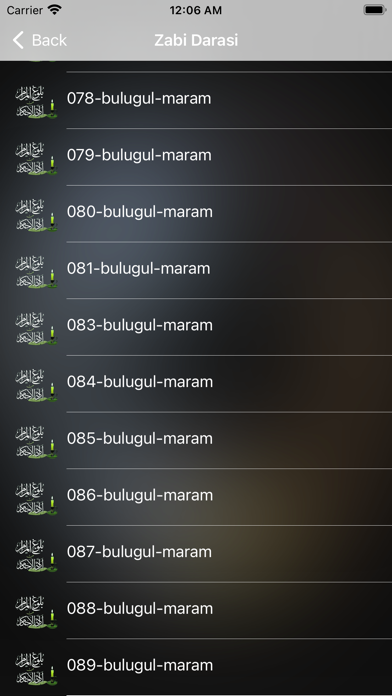 Bulughul Maram Hausa Screenshot