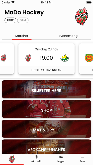 MoDo Hockey Screenshot