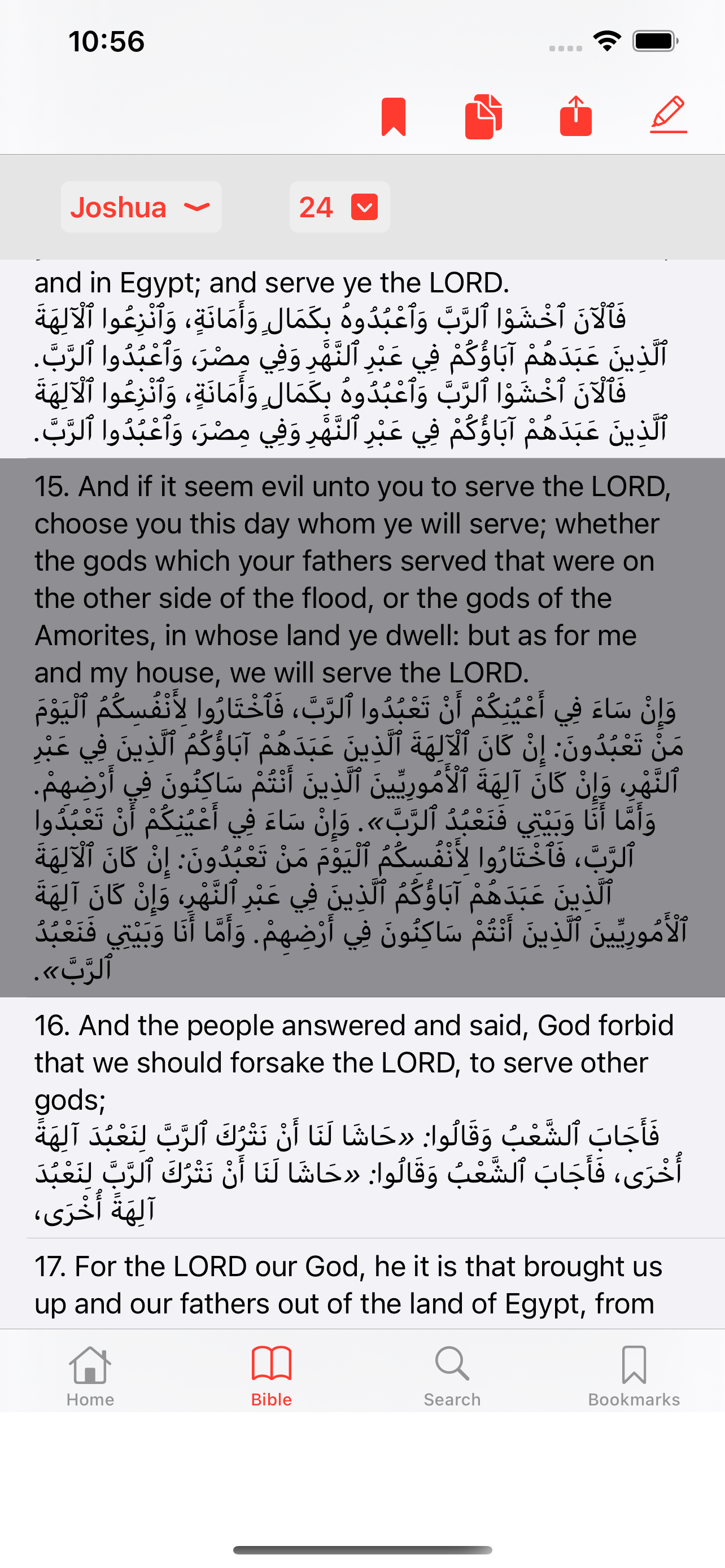 English - Arabic Bible