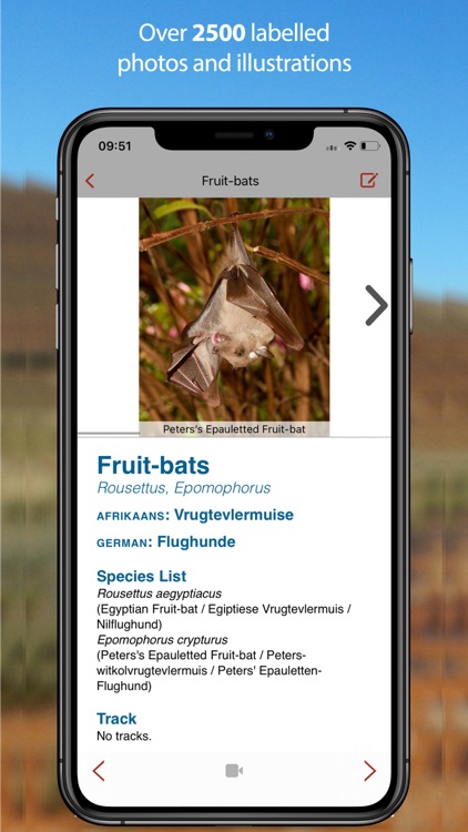 Stuarts' Tracks & Scats SA screenshot-3