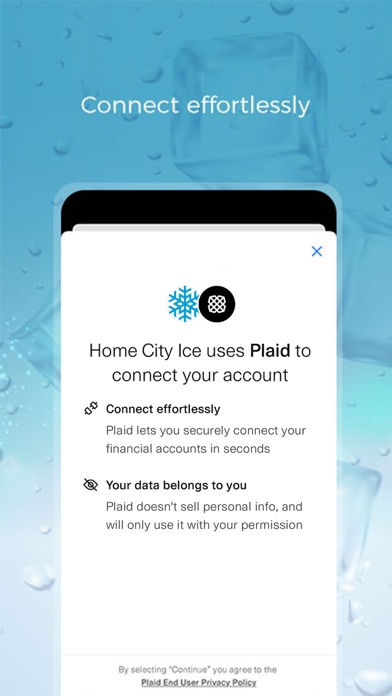 Home City Ice Screenshot