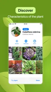 leaf identification iphone screenshot 3