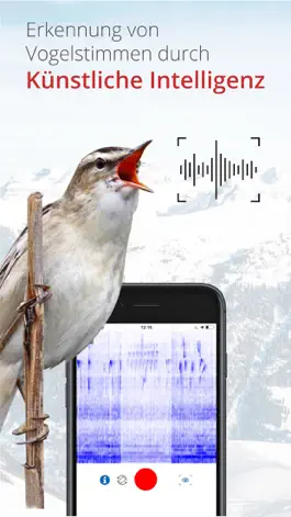 Game screenshot Vogelführer Birdlife Schweiz hack