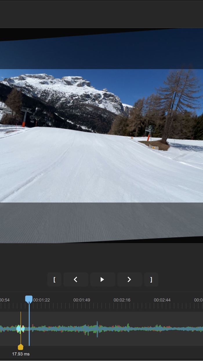 GyroCam - Professional Camera