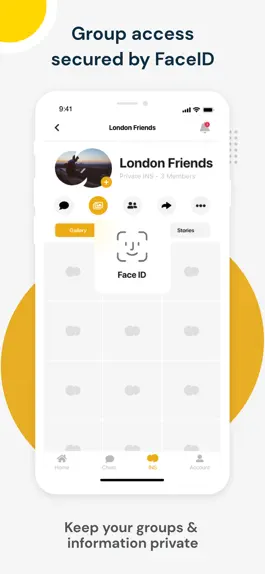 Game screenshot MyIns - Private Social Media hack