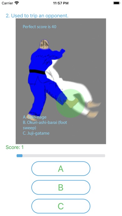 BJJ Quiz Screenshot