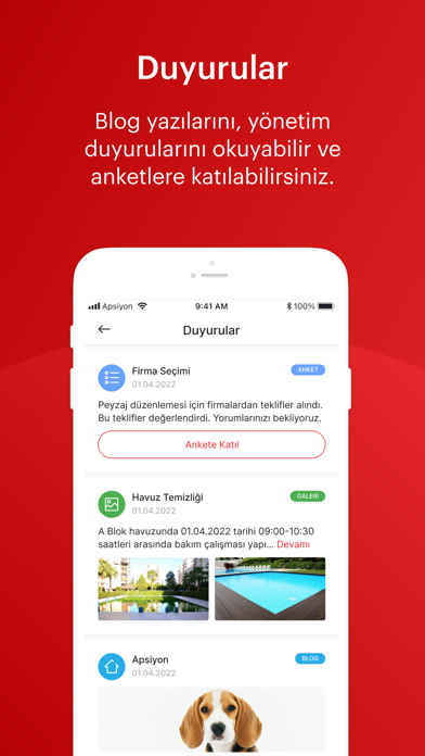 Nidapark Küçükyalı Screenshot