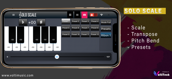 Solo Scale Controller