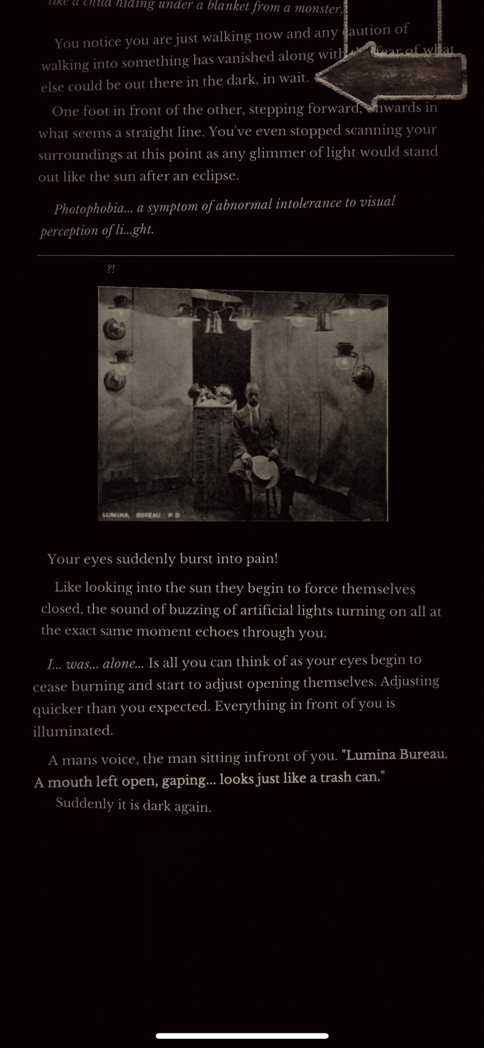 Seul.Alone The entrée - CYOA