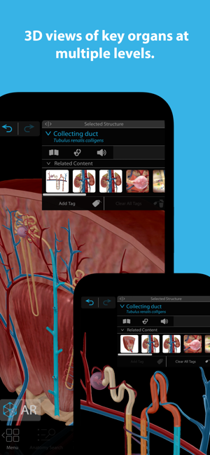 ‎Atlas d'anatomie humaine 2024 Capture d'écran