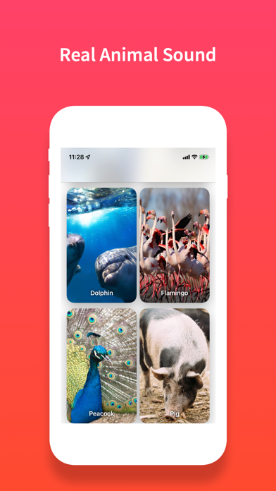 Identify Animal Sounds, Noises Screenshot