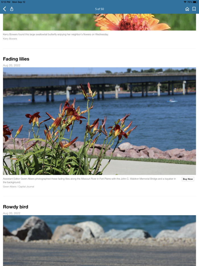 Pierre Capital Journal