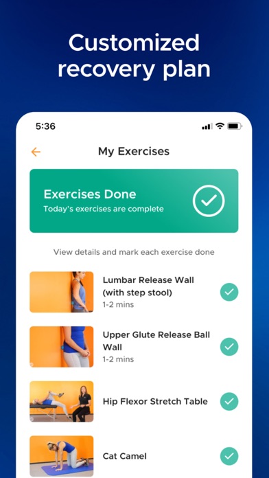 Airrosti Screenshot