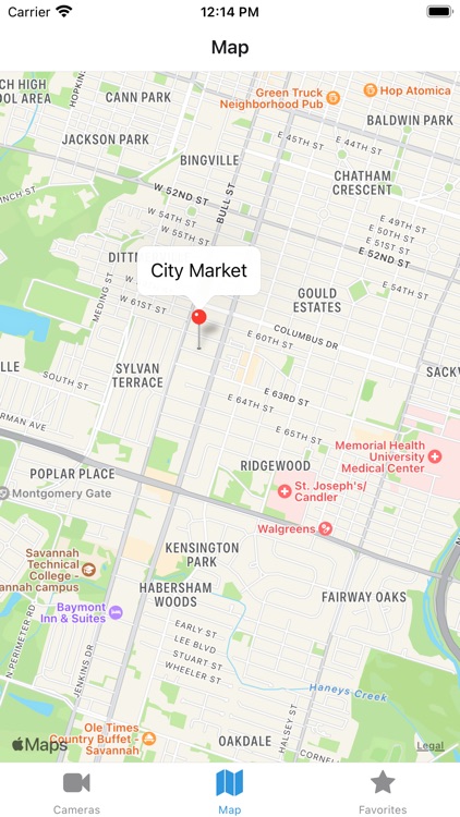 Savannah Cams - Live Views