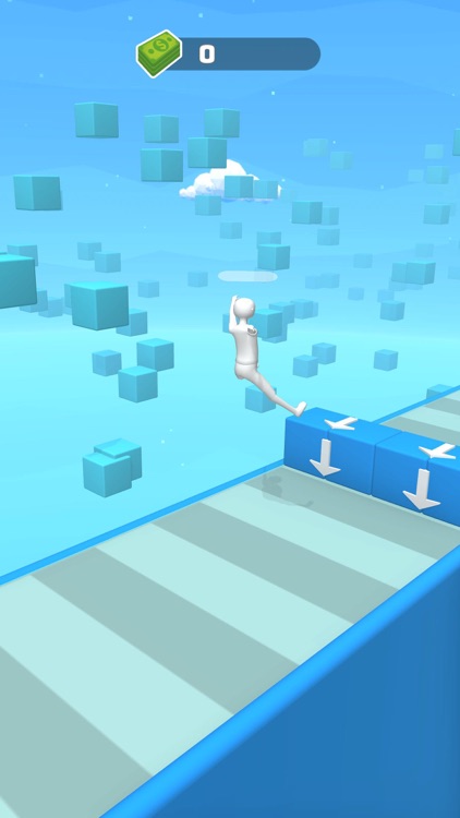 Ragdoll Bird screenshot-3