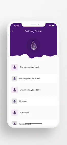 Game screenshot Learn Elixir Coding Offline hack
