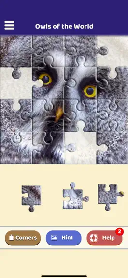 Game screenshot Owls of the World Puzzle apk