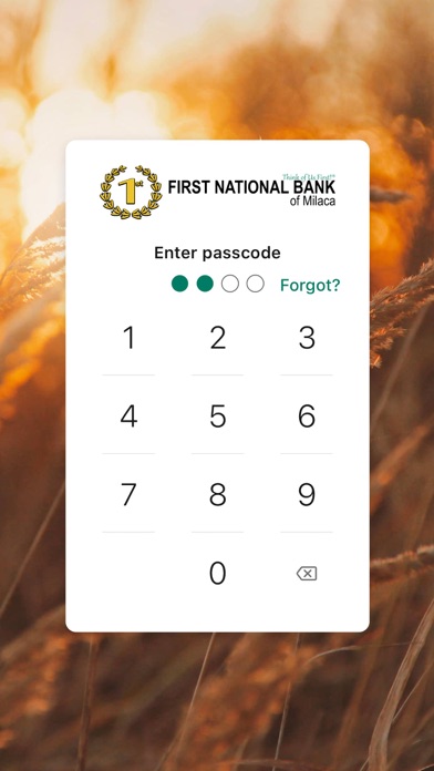 FNB Milaca Screenshot
