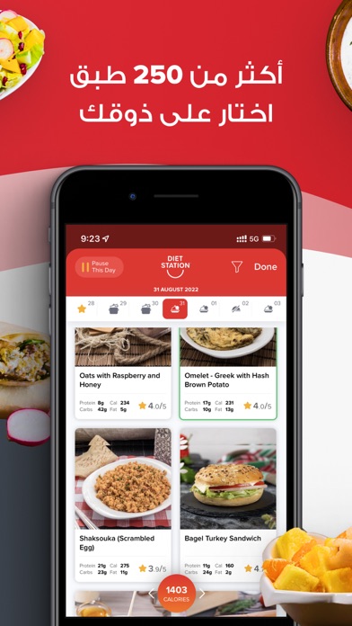 Diet Station Screenshot