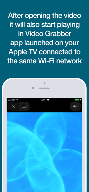 Video Grabber Screenshot