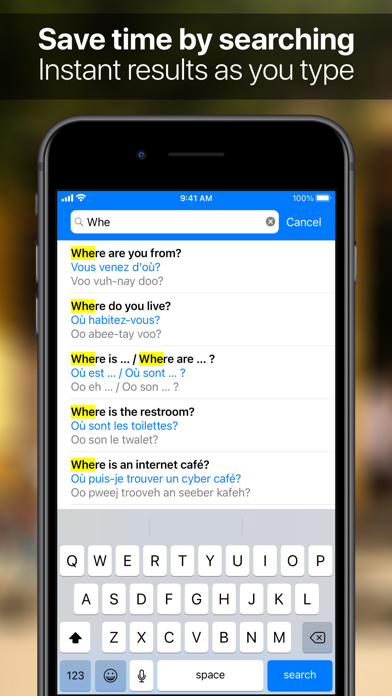 SpeakEasy French Phrasebook Screenshot