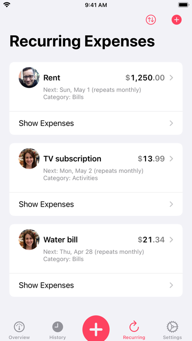Our Expenses: Household Budget Screenshot
