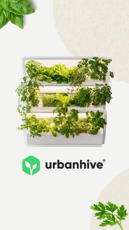 urbanhive