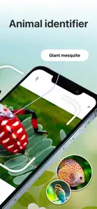 Bug Identifier Insect Finder screenshot #2 for iPhone